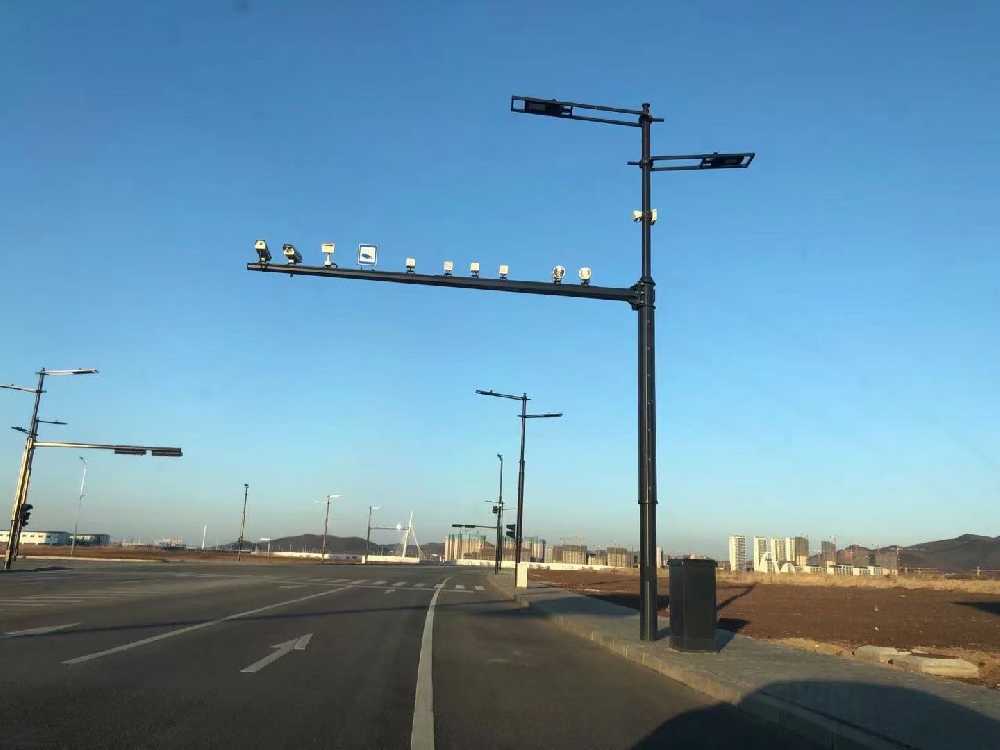 楚雄市黑龙江佳木斯综合路灯杆项目